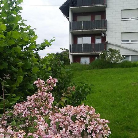 Ferienwohnung Am Eichbuehl Waldkirch Exterior photo