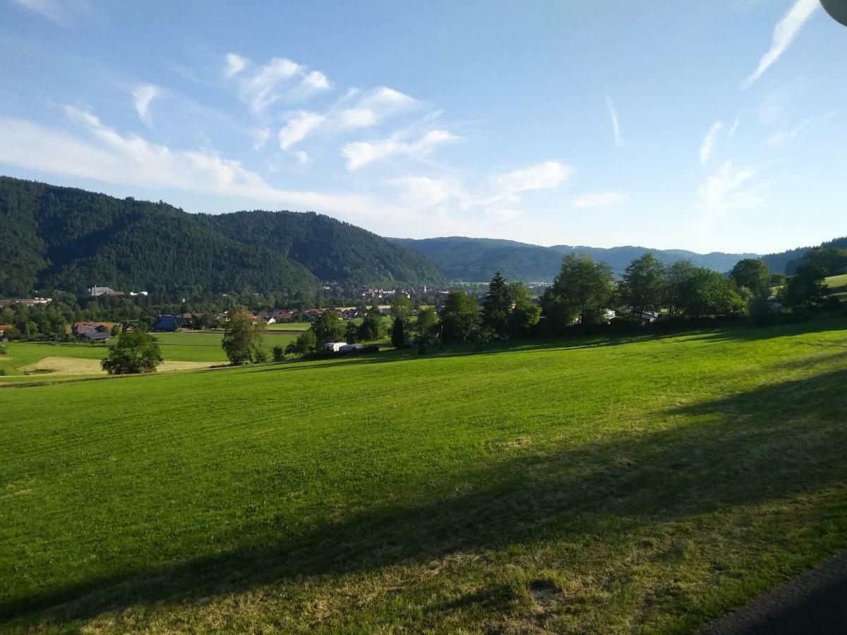Ferienwohnung Am Eichbuehl Waldkirch Exterior photo
