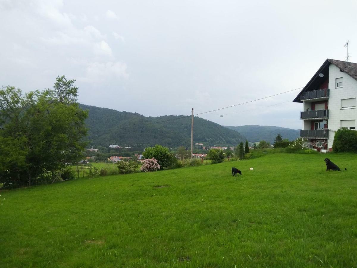 Ferienwohnung Am Eichbuehl Waldkirch Exterior photo